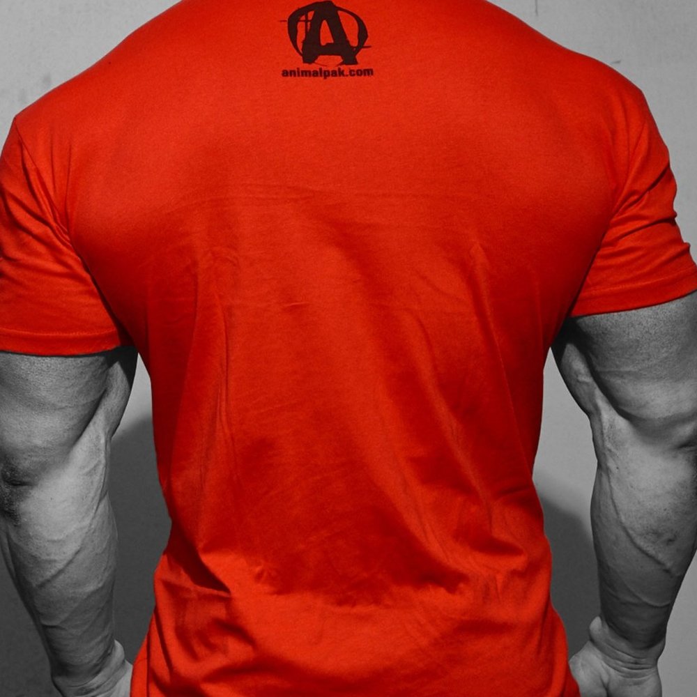 Animal Iconic Red t-shirt - Picture 3 of 5